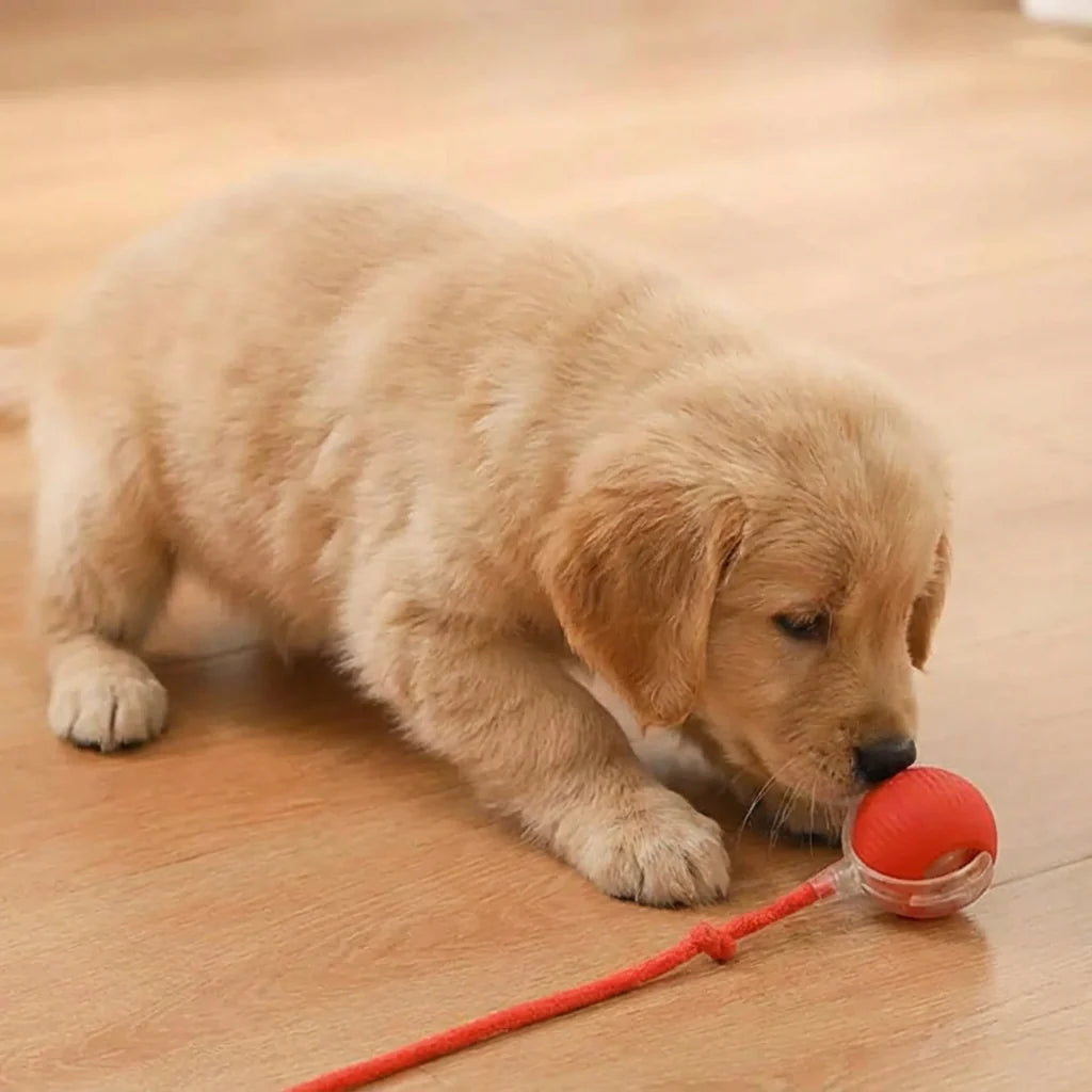 Palla Interattiva Intelligente per Cani e Gatti con Movimento Auto-Rotolante
