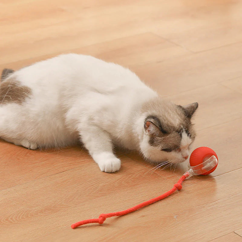 Palla Interattiva Intelligente per Cani e Gatti con Movimento Auto-Rotolante