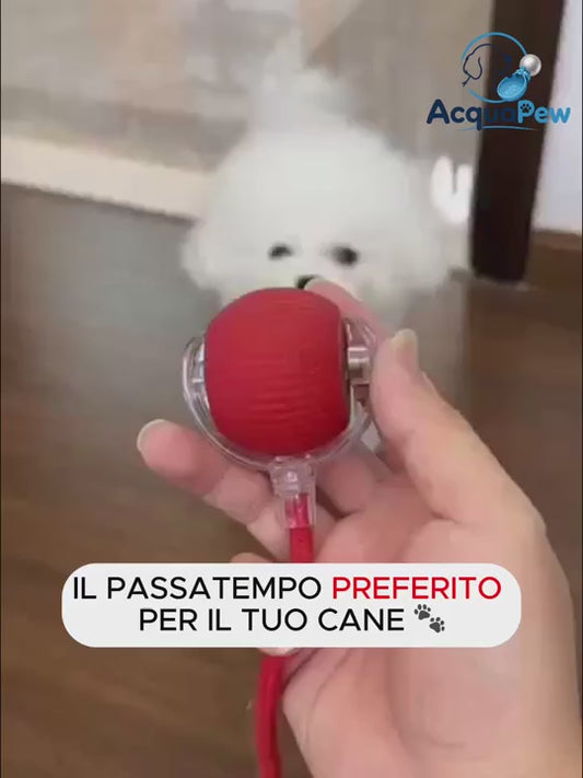 Palla Interattiva Intelligente per Cani e Gatti con Movimento Auto-Rotolante
